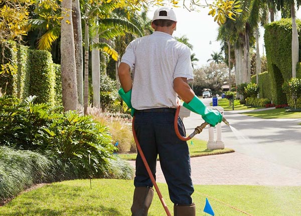 About Sevierville TN Pest Control Pros